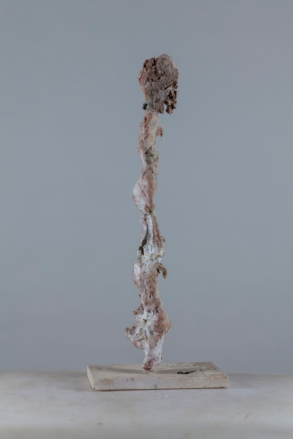 2019 (profilo da sinistra)