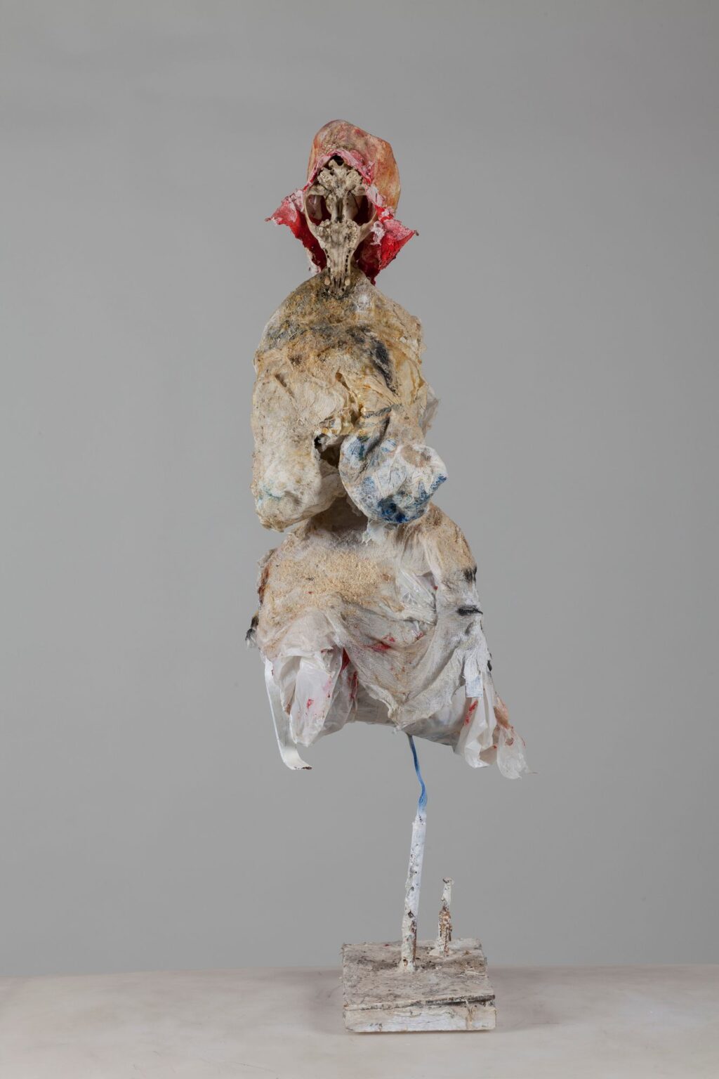 'dettaglio' S.T.E.V.E