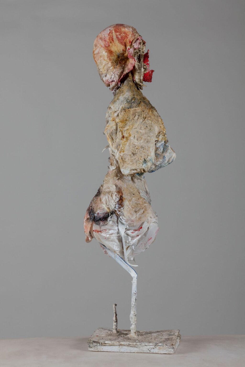 'dettaglio' S.T.E.V.E