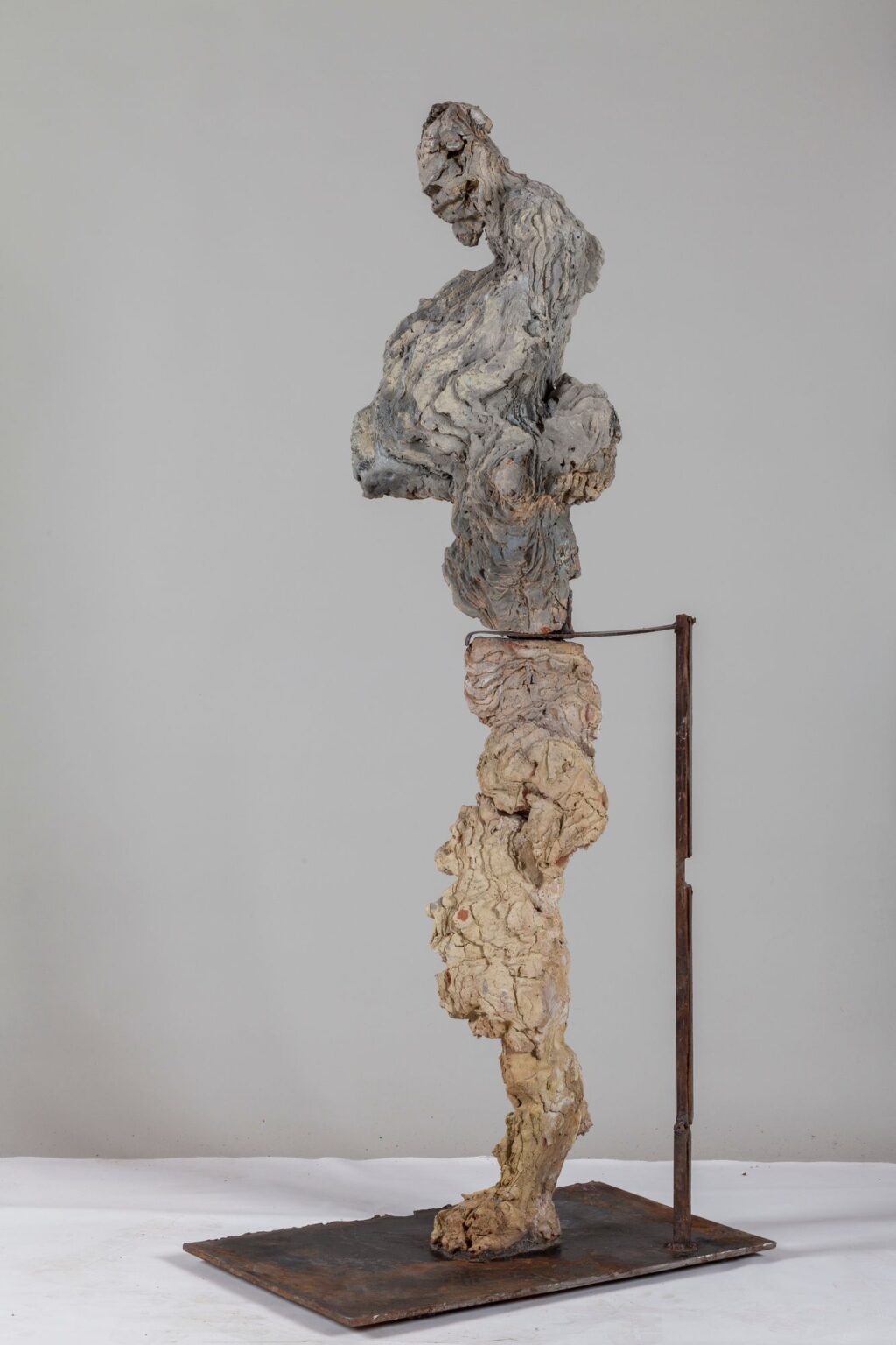 (profilo da sinistra)